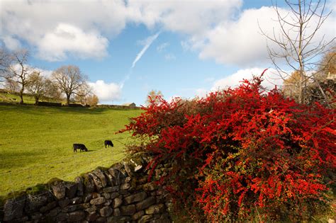We have selected a list of top 15 best landscape wallpapers. Autumn Landscape Free Stock Photo - Public Domain Pictures