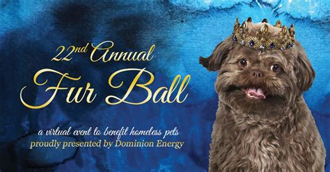 Fur Ball Traditions Reimagined For 2020 Richmond Spca