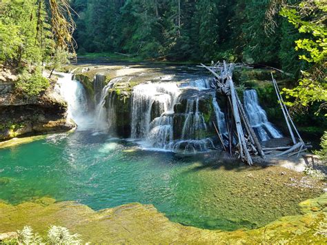 Landscape Lower Lewis River Falls Cascading Waterfalls National Forest