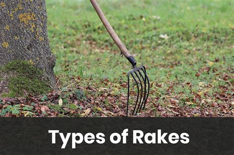 There are more than a dozen different types of grasses, and many lawns contain a mixture of two or more types. Types of Rakes | The Rex Garden