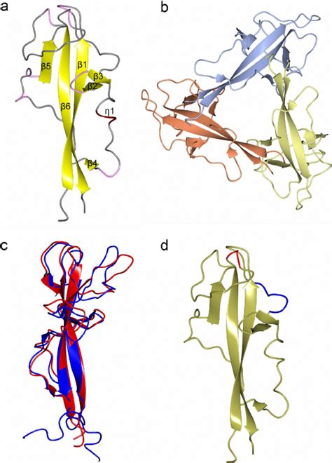 Comparison Of Dysf Domain Structures Ribbon Presentation Of A P2 1 3