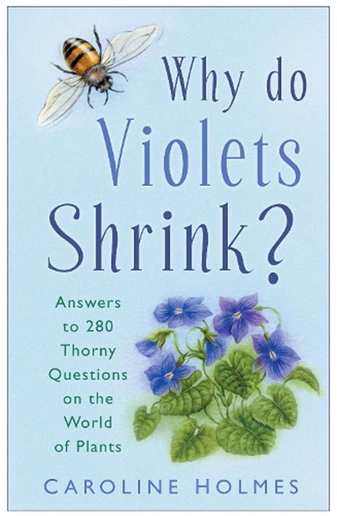 Why Do Violets Shrink By Caroline Holmes Hardcover 9780750946285