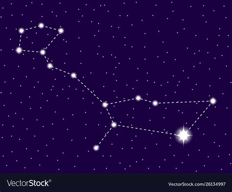 Cetus Constellation Starry Night Sky Cluster Vector Image