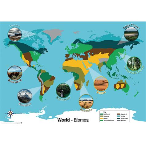 E1534834 World Biomes Map Spa4schools