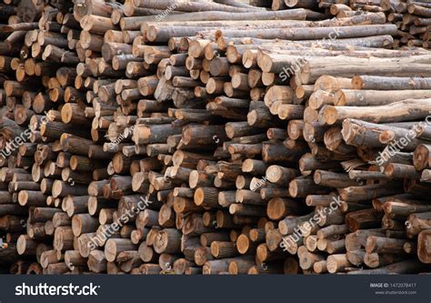 Lumber Log Wood Stock Pile Stock Photo 1472078417 Shutterstock