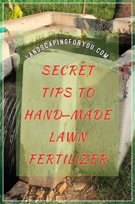 How to fertilize my own lawn. Pin on Natural Lawn Fertilizer