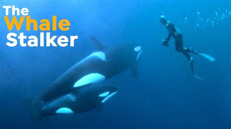 How Award Winning Documentary Filmmaker Rick Rosenthal Films Whales