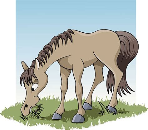 Horse Eating Hay Clipart 10 Free Cliparts Download Images On