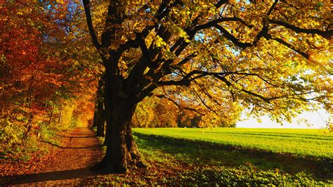 Fall Scenery Hd Backgrounds Pixelstalknet