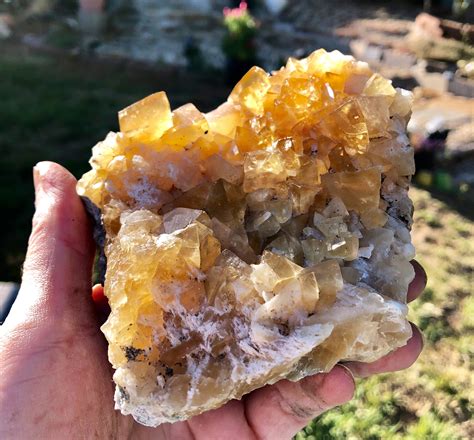 572g Golden Yellow Cubic Calcite Crystal Cluster Mineral Display Specimen