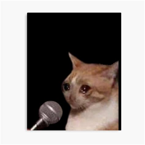 Microphone Screaming Crying Cat Meme