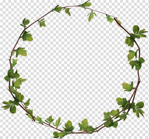 Leaf Wreath Illustration Circle Leaves Ring Transparent Background