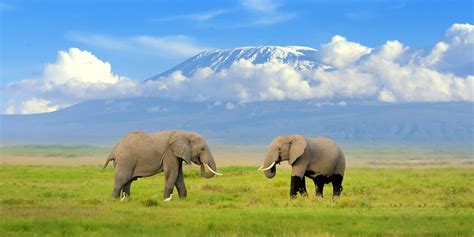Best Time To Visit Kenya Advice From The Safari Experts Southern