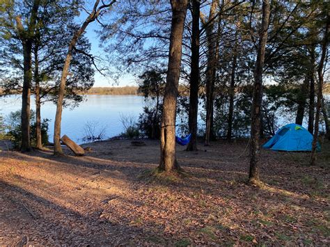 Purtis Creek | The Dyrt