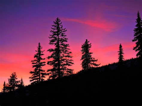 Pink And Purple Sunset Behind Mountain Trees Stock Photo