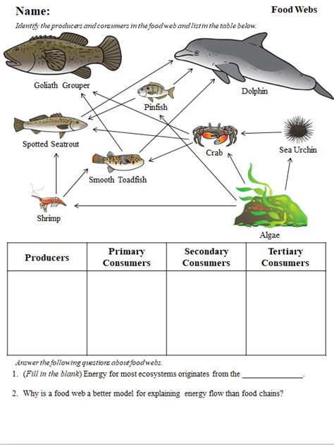 Food Chain Pyramid Worksheet Energy Pyramid Lesson Plans And Lesson
