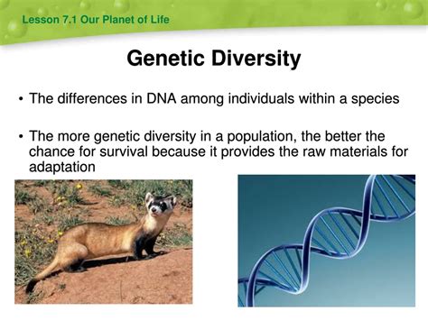 Ppt Biodiversity And Conservation Powerpoint Presentation Free