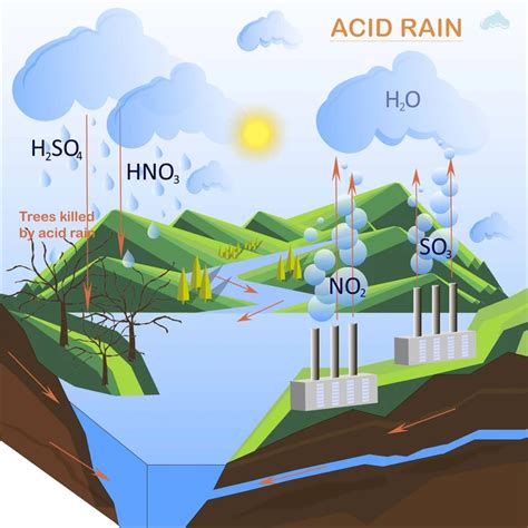 Acid Rain It S Causes Effects And How To Prevent It