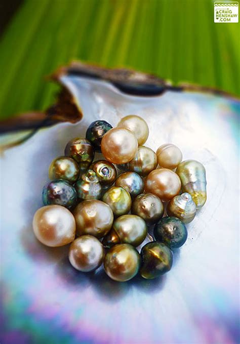 The Worlds Most Colorful Pearls Pearls International