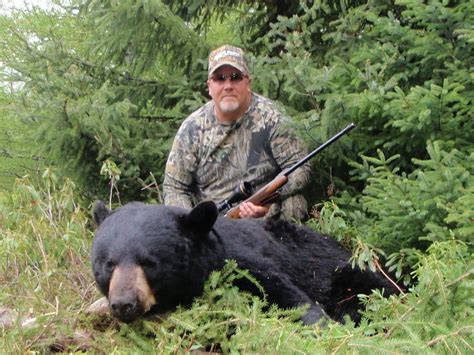 Newfoundland Big Game Hunting — Black Bear