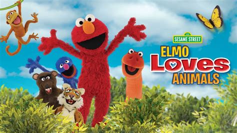 Sesame Street Elmo Loves Animals Apple Tv