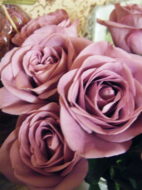 Shop the best online flowers deals Mauve roses | Wedding flower inspiration, Rose, Wedding ...