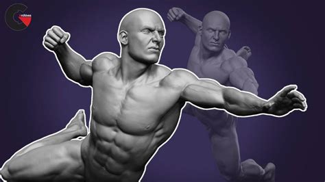 Dynamic Male Anatomy For Artists In Zbrush Make Realistic 3d Human