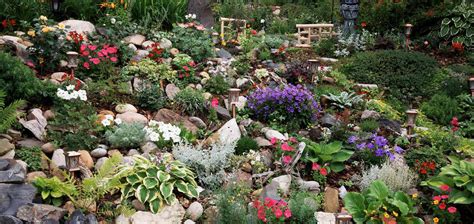 Fast Growing Groundcover For A Slope Garden Made Simple