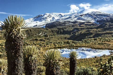las riquezas naturales de colombia se encuentran en peligro fundación amigos del planeta