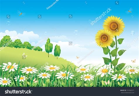 Flowery Meadow With Daisies And Sunflowers Stock Vector Illustration