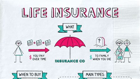 What Are The Different Types Of Life Insurance We Have The Answer