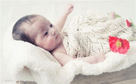 Entradas Sobre Bebes En FotografÍa Profesional Bebe Fotografia Bebes
