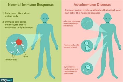 Autoimmune Disease Types Symptoms And More E