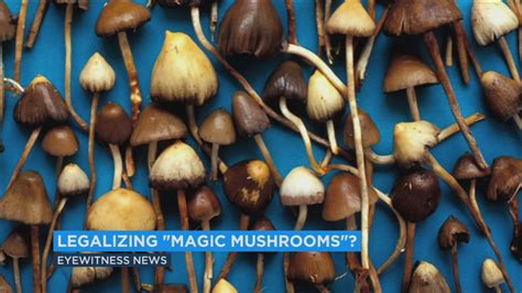 Hallucinogenic Mushrooms In Indiana All Mushroom Info