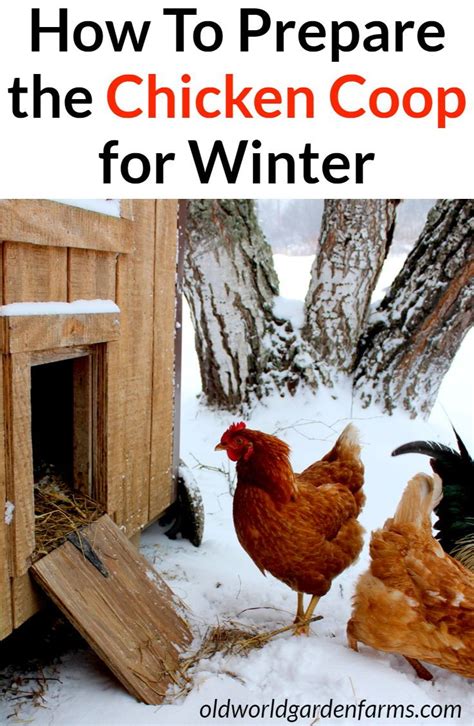 Jun 17, 2021 · drink warm beverages. Winterizing A Chicken Coop - How To Get Chickens Ready For ...