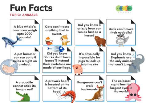 170 Fun Facts For Kids Weird But True Kidpillar