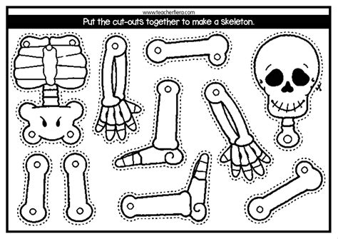 Year 2 Unit 8 Assembling The Skeleton Cut Outs