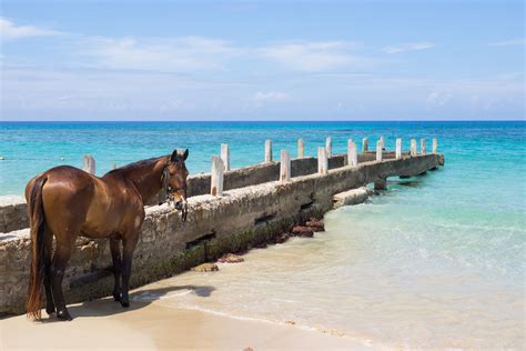 Vacation Spots Blog The Top 10 Most Beautiful Beaches In Jamaica