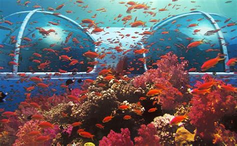 Poseidon Undersea Resort Fiji Islands ~ Sense Of Luxury