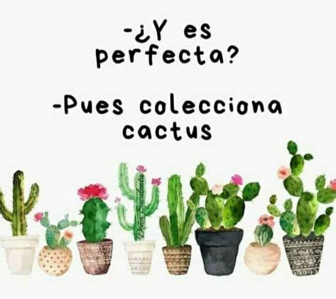 38 Ideas De Memes De Suculentas Y Cactus En 2021 Suculentas Cactus