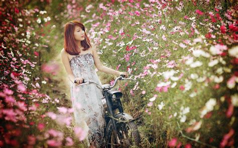 Wallpaper Sunlight Flowers Nature Red Asian Photography Dress Spring Motors Romance