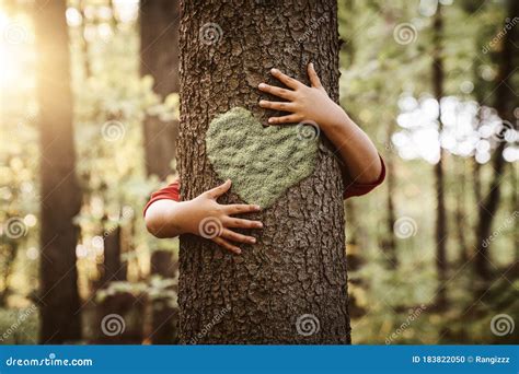 Nature Lover Close Up Of Child Hands Hugging A Tree Stock Photo