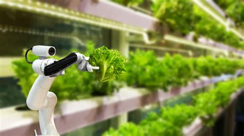 5 Emerging Innovations In The Field Of Agriculture The Agrotech Daily