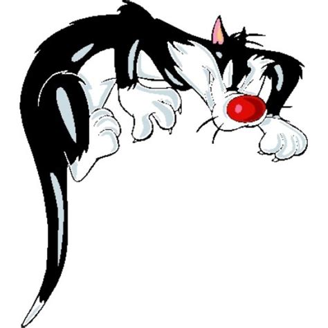 Cartoon Sylvester Cat Free Image Download
