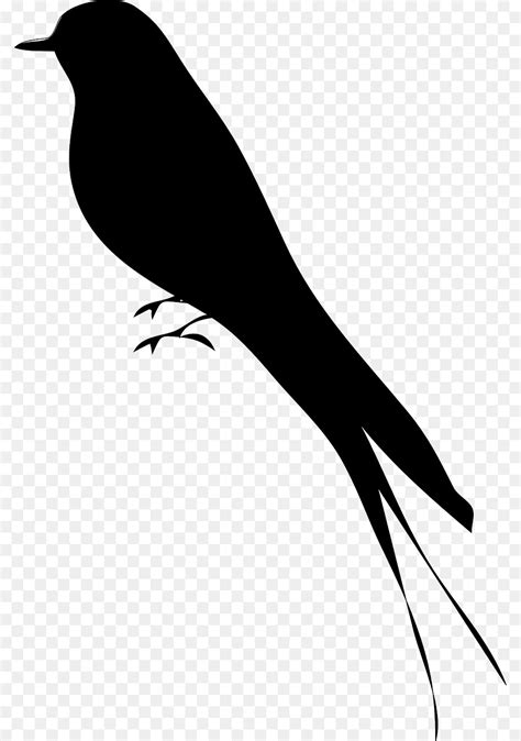 Free Bird Silhouette Outline Download Free Bird Silhouette Outline Png