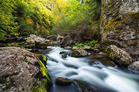 Mountain River Flowing Through The Green Forest Photograph By Valentin