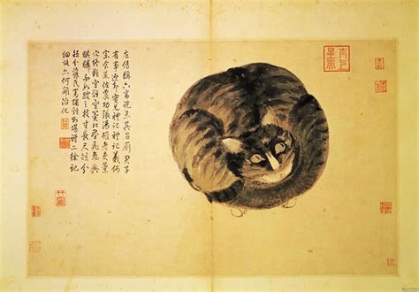 Shen Zhou 1427 1509 1494 Cat National Palace Museum Flickr