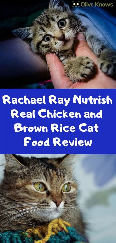 The ingredients of high protein are extracted from eggs, poultry. Rachael Ray Nutrish Real Chicken and Brown Rice Cat Food ...