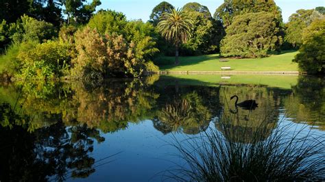 360 bay st, port melbourne vic 3207, avustralya adres. 墨尔本皇家植物园 (Royal Botanic Gardens Melbourne), 景点, 墨尔本 ...