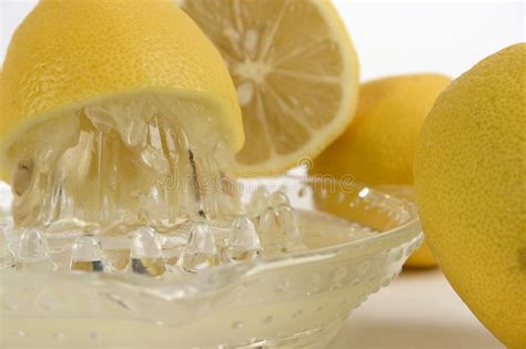 Lemon On A Lemon Squeezer Stock Image Image Of Wood 35006619